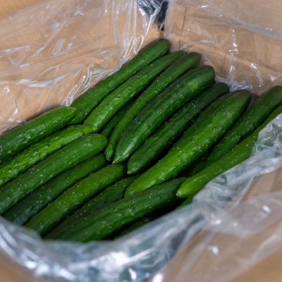 【先行予約/8月以降発送】秀品キュウリ1箱Мサイズ(約5kg)
