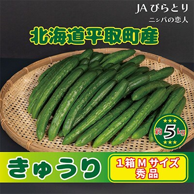 【先行予約/8月以降発送】秀品キュウリ1箱Мサイズ(約5kg)