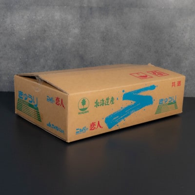 【先行予約/8月以降発送】秀品キュウリ1箱Мサイズ(約5kg)