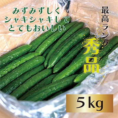 【先行予約/8月以降発送】秀品キュウリ1箱Мサイズ(約5kg)