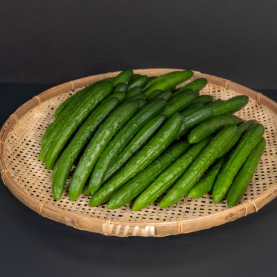 【先行予約/8月以降発送】秀品キュウリ1箱Мサイズ(約5kg)