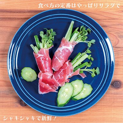 【先行予約/8月以降発送】秀品キュウリ1箱Мサイズ(約5kg)