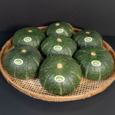 【先行予約/8月以降発送】みやこカボチャ1箱7玉(約10kg)