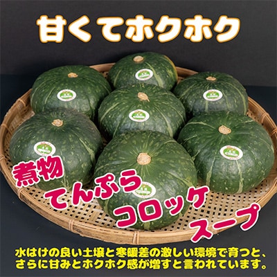 【先行予約/8月以降発送】みやこカボチャ1箱7玉(約10kg)