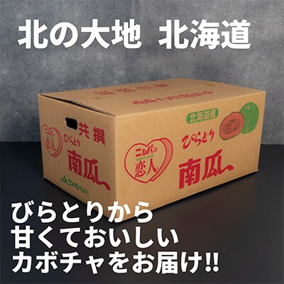 【先行予約/8月以降発送】みやこカボチャ1箱7玉(約10kg)