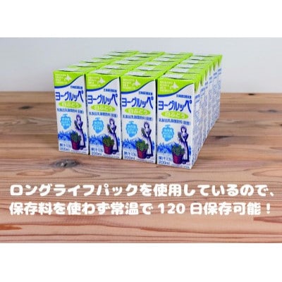 北海道日高乳業【期間限定】白ぶどうヨーグルッペ200ml×24本　
