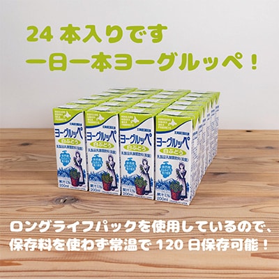 北海道日高乳業【春夏期間限定】白ぶどうヨーグルッペ200ml×24本　