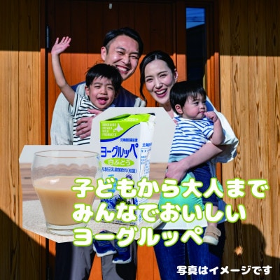 北海道日高乳業【期間限定】白ぶどうヨーグルッペ200ml×24本　