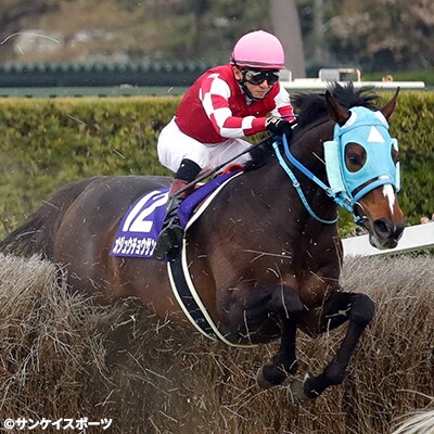 【競馬グッズ】【オジュウチョウサン】Tシャツ【Lサイズ】ヘイジーブラック