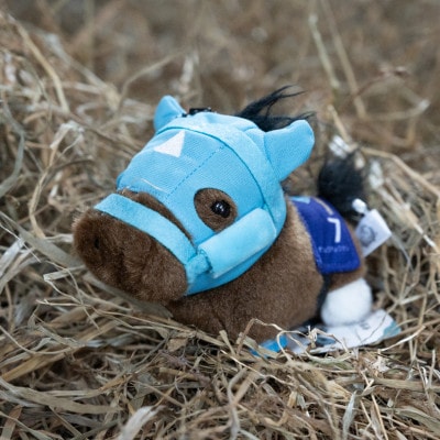 ちぃぐるみ　絶対王者【オジュウチョウサン】バージョン