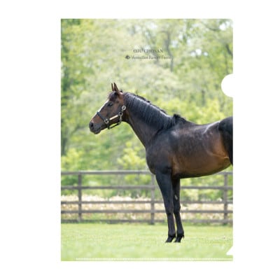 クリアファイル【オジュウチョウサン】 (写真)5枚入り