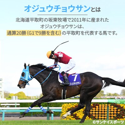 【オジュウチョウサン】コルクコースター3枚入り