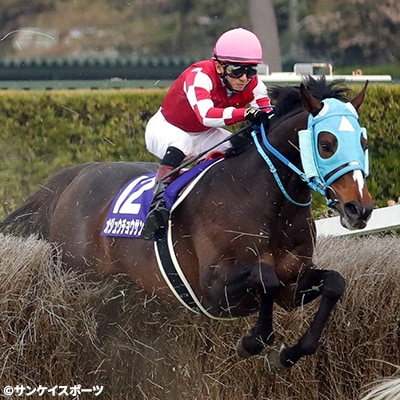 【オジュウチョウサン】カッティングステッカー(黒)4枚入り