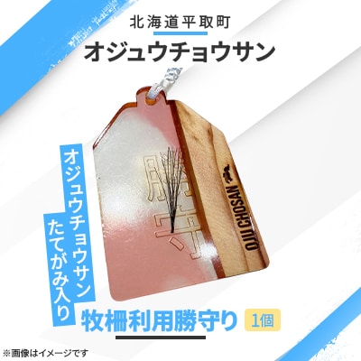 【御守り】オジュウチョウサンたてがみ入り牧柵利用勝守り