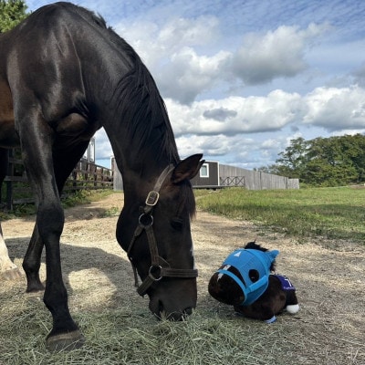 特大ぬいぐるみ　絶対王者【オジュウチョウサン】バージョン