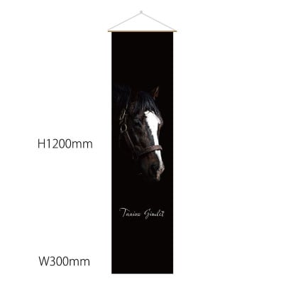 【アドマイヤジャパン】タペストリー