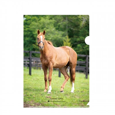 【アドマイヤジャパン×Yogibo】クリアファイル　1セット(5枚入り)