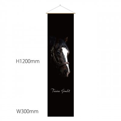 【エイシンフラッシュ】タペストリー