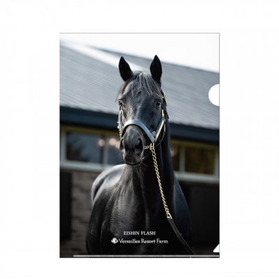 【エイシンフラッシュ】クリアファイル5枚入り