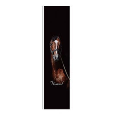 【競馬グッズ】【トランセンド】タペストリー