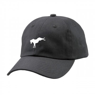 【競馬グッズ】【破壊神タニノギムレット】キャップ
