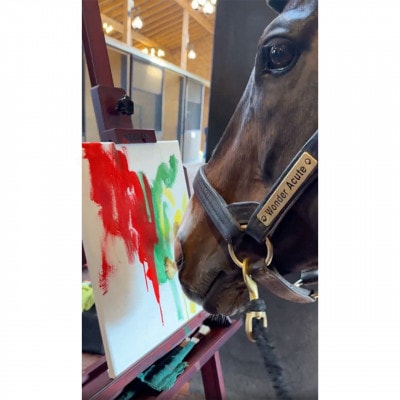 【競馬グッズ】【ワンダーアキュート画伯】作　絵画Tシャツ【M】