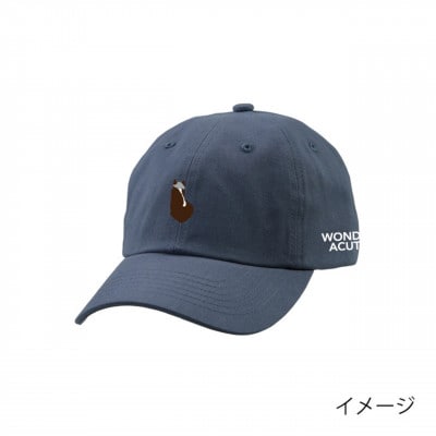 【競馬グッズ】【ワンダーアキュート画伯】キャップ
