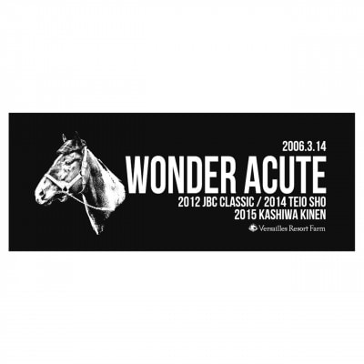 【競馬グッズ】【ワンダーアキュート画伯】シャーリングフェイスタオル