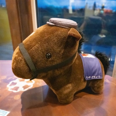 【競馬グッズ】【ワンダーアキュート】特大ぬいぐるみ　画伯バージョン