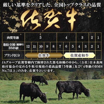 佐賀牛特上サーロインステーキ250g×3枚