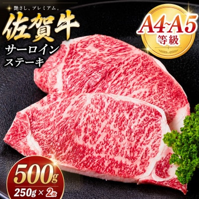 佐賀牛 サーロインステーキ 250g×2枚 K030146