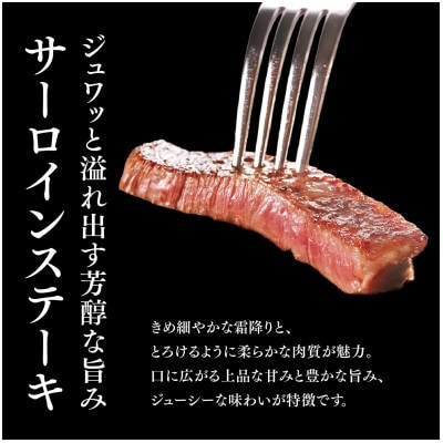 佐賀牛 サーロインステーキ 250g×2枚 K030146