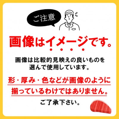 佐賀牛 サーロインステーキ 250g×2枚 K030146