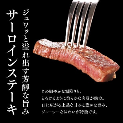 【毎月定期便】佐賀牛サーロインステーキ 200g×3枚全5回