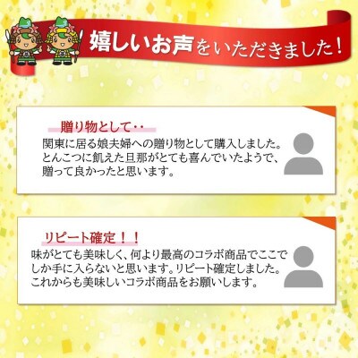 「焼豚ラーメン×丸幸ラーメン」1ケース(計12個)