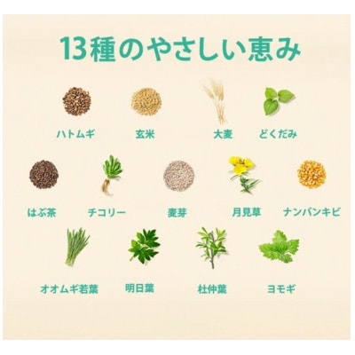 爽健美茶 2L　2箱(12本)
