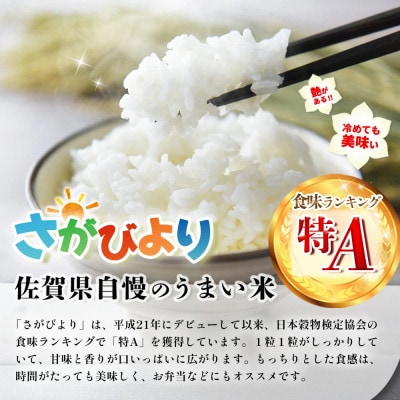 令和7年産 新米 さがびより 10kg(1袋)
