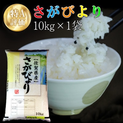 【毎月定期便】さがびより 10kg(1袋)全3回