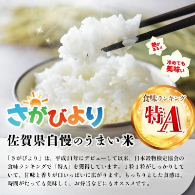 【毎月定期便】さがびより 5kg (1袋)全3回