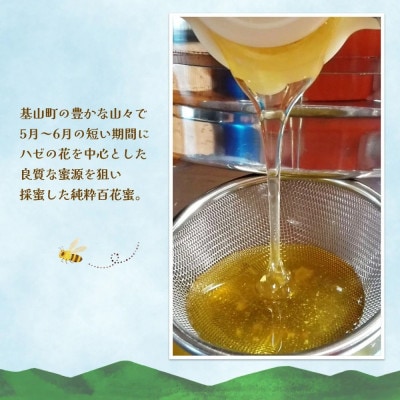 佐賀県産はちみつ『みよしの百花蜜』220g