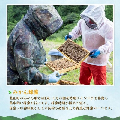 みよしのみつ(百花蜜・みかん・もちの木)　220g×3本