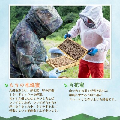 みよしのみつ(百花蜜・もちの木)220g×2本