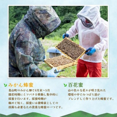 みよしのみつ(百花蜜・みかん)220g×2本
