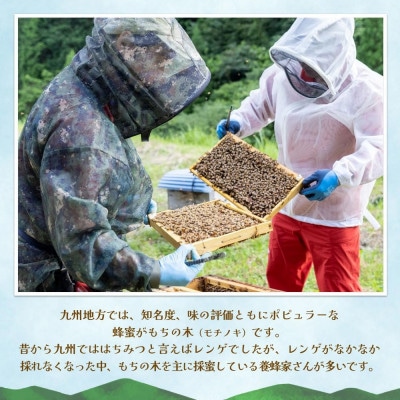 みよしの蜂蜜(もちの木)220g×1本