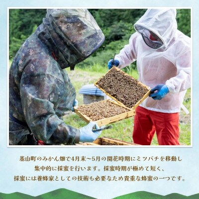 みよしの蜂蜜 (みかん) 220g×1本