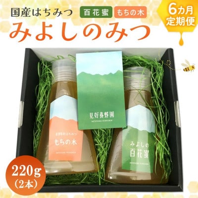 【毎月定期便】みよしのみつ(百花蜜・もちの木)220g×2本全6回