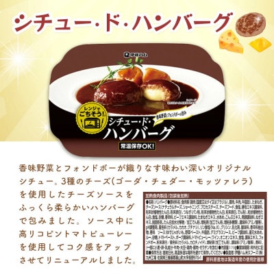 レンジでごちそう詰め合わせ(6個セット)【ビーフシチュー・牛タンシチュー・ハンバーグ】(基山町)