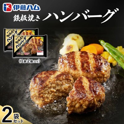 鉄板焼きハンバーグ2個入り×2袋(基山町)