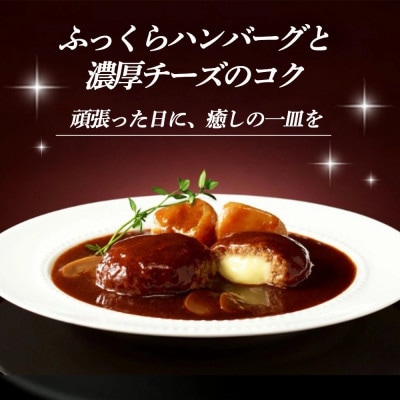 レンジでごちそう シチュー・ド・ハンバーグ×4袋(基山町)