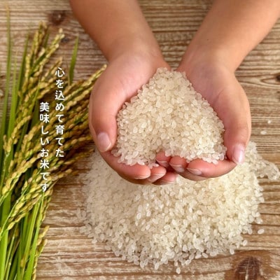 【令和7年新米】ちぎり米 5kg(「さがびより」、「ヒノヒカリ」、「夢しずく」から1種類 選択不可)